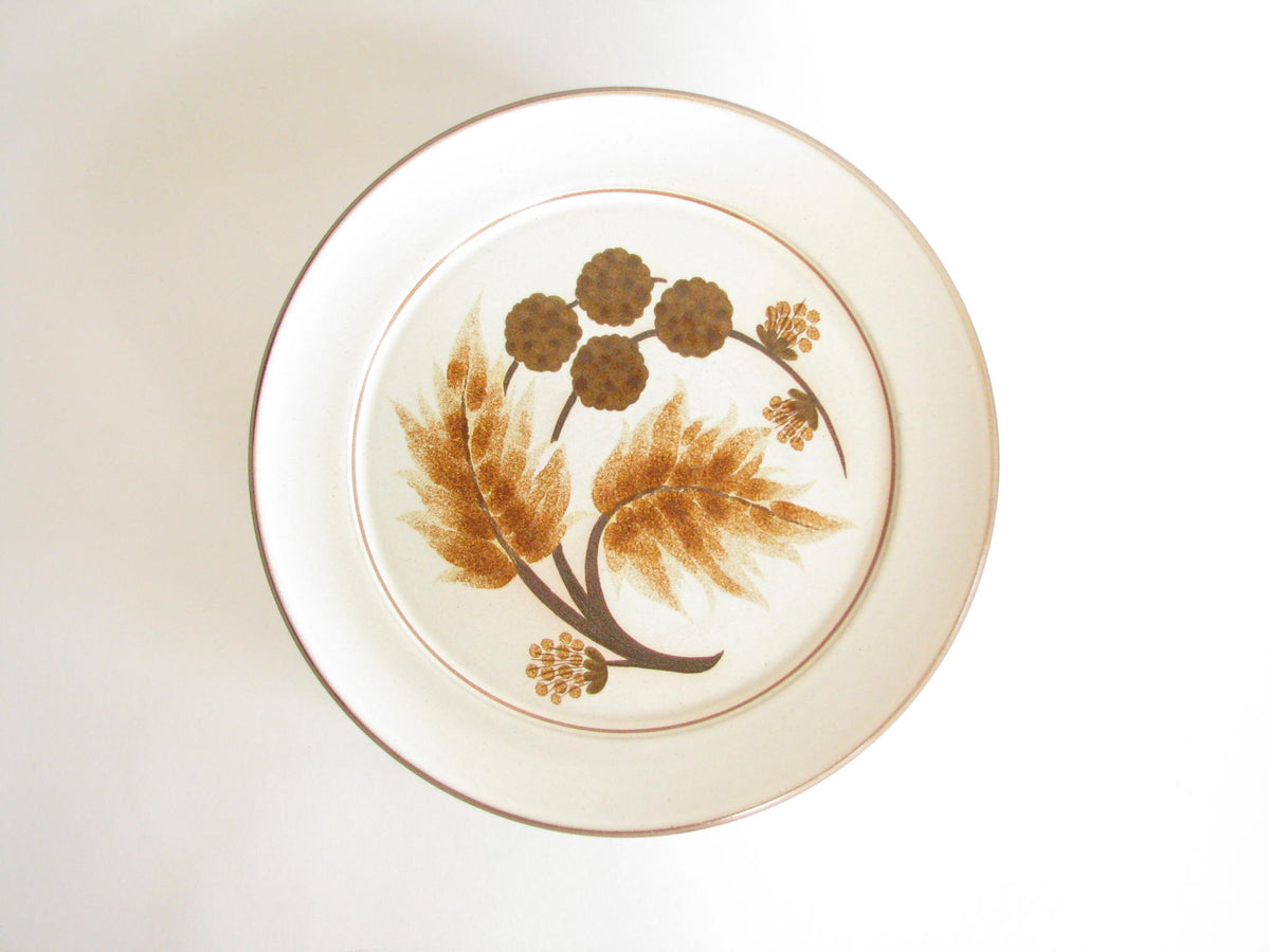 Vintage Denby Cotswold Pottery Dinner Plates with Brown Leaves Design