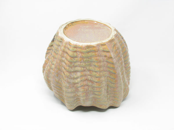 Contemporary Large Shell Shaped Ceramic Planter by Sanibel Home