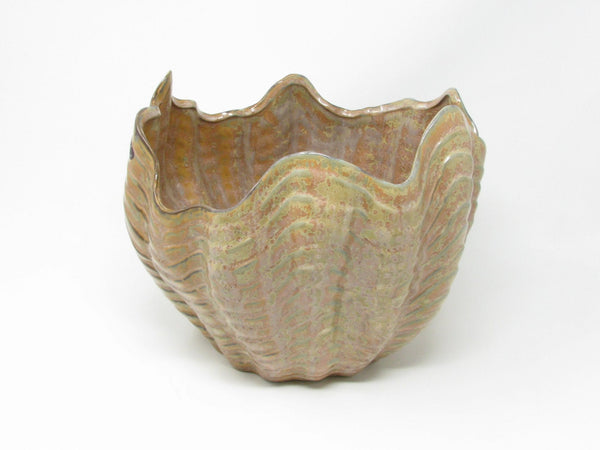Contemporary Large Shell Shaped Ceramic Planter by Sanibel Home