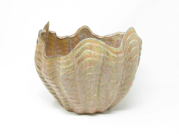 Contemporary Large Shell Shaped Ceramic Planter by Sanibel Home