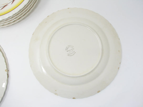 Vintage Metlox Vernon Kilns Arcadia Dinner Plates - 8 Pieces