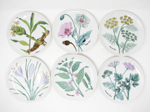 Vintage Shafford Botanical Herb Seed Salad Plates - 6 Pieces