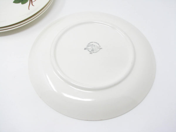 Vintage Southern Pottery Blue Ridge Baltic Ivy Ironstone Dinner Plates - 4 Pieces