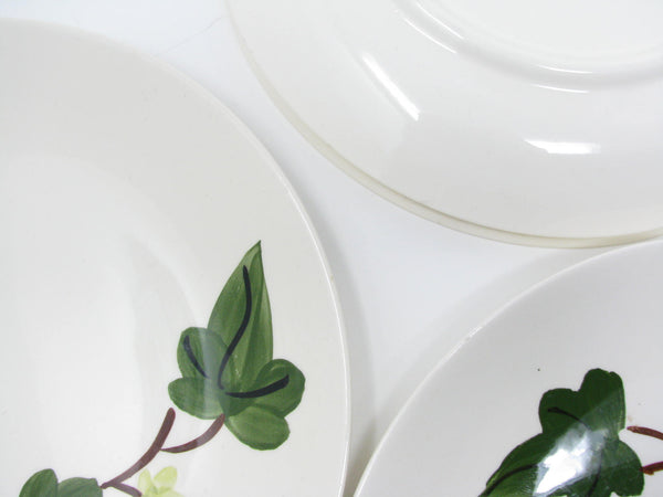 Vintage Southern Pottery Blue Ridge Baltic Ivy Ironstone Dinner Plates - 4 Pieces