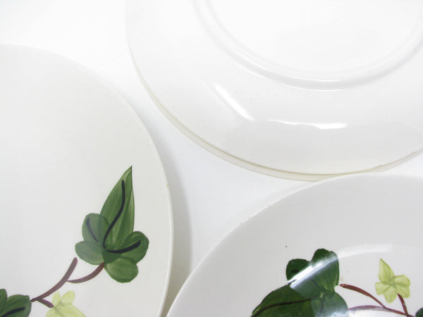 Vintage Southern Pottery Blue Ridge Baltic Ivy Ironstone Dinner Plates - 4 Pieces