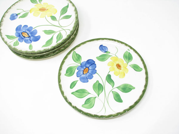 Vintage Southern Pottery Blue Ridge Southern Special Floral Luncheon Dinnerware Set - 38 Pieces
