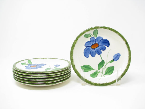 Vintage Southern Pottery Blue Ridge Southern Special Floral Luncheon Dinnerware Set - 38 Pieces