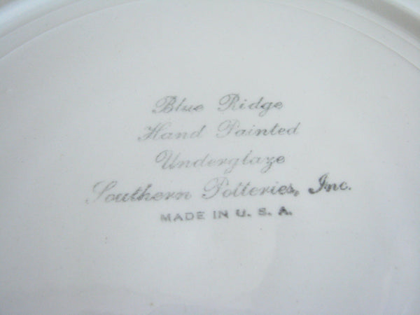 edgebrookhouse - 1940s Southern Pottery Blue Ridge Carol's Roses Ironstone Dinner or Luncheon Plates - Set of 10