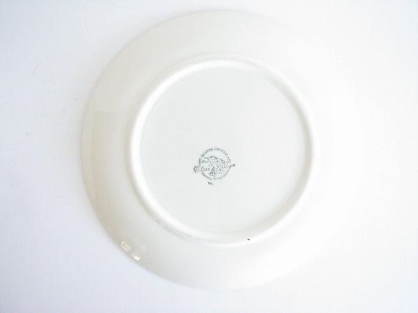 edgebrookhouse - 1940s Southern Pottery Blue Ridge Delicious Ironstone Dinner or Luncheon Plates - Set of 4
