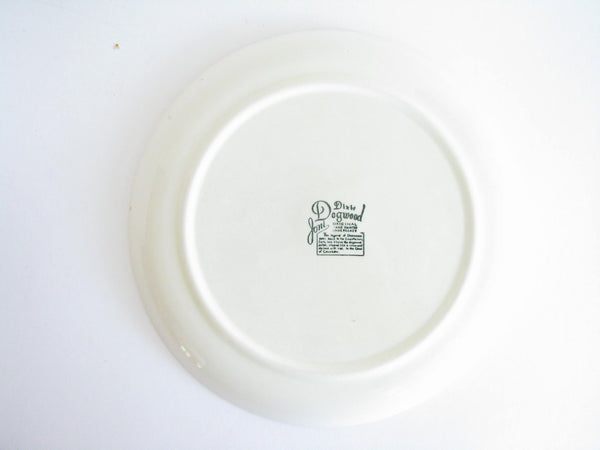 edgebrookhouse - 1950s Southern Pottery Blue Ridge Dixie Dogwood Floral Ironstone Dinner or Luncheon Plates - Set of 6