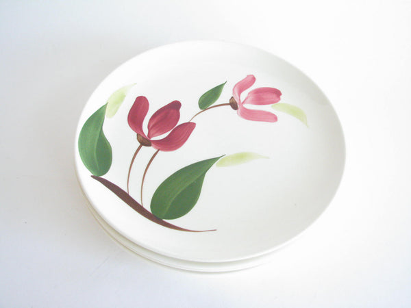 edgebrookhouse - 1950s Stetson Tulip Time Floral Ironstone Dinner or Luncheon Plates - Set of 5