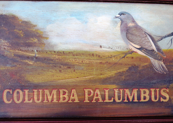 edgebrookhouse - Antique Folk Art Naturalist Sign of a Columba Palumbus (Wood Pigeon) by the Meek Co