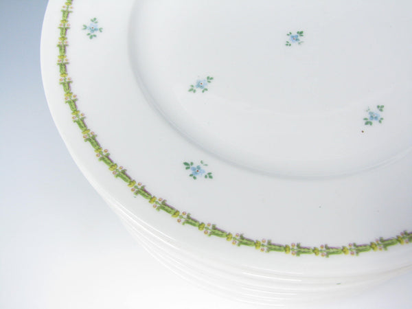 edgebrookhouse - Antique GD & Cie Avenir Decorated Legrand & Co Limoges Porcelain Salad Plates - 11 Pieces