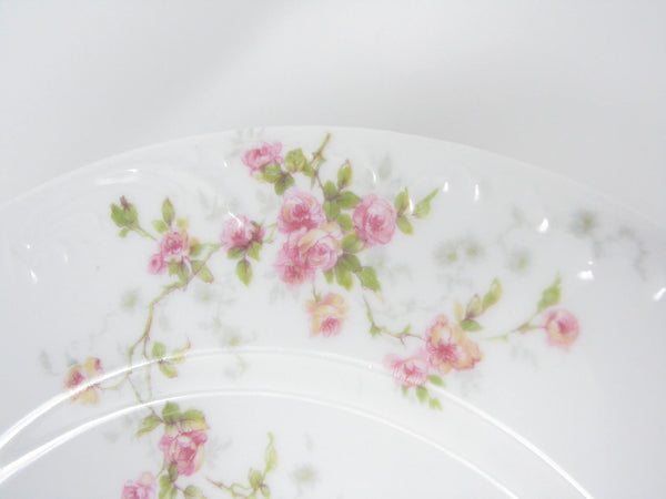 edgebrookhouse - Antique Theodore Haviland Limoges Porcelain Dinner Plates with Floral Design and Embossed Rim - Set of 10