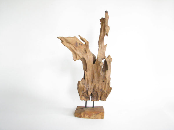 edgebrookhouse - Hand Crafted Teak Driftwood & Blown Glass Sculpture or Terrarium B