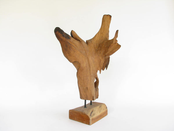 edgebrookhouse - Hand Crafted Teak Driftwood & Blown Glass Sculpture or Terrarium D