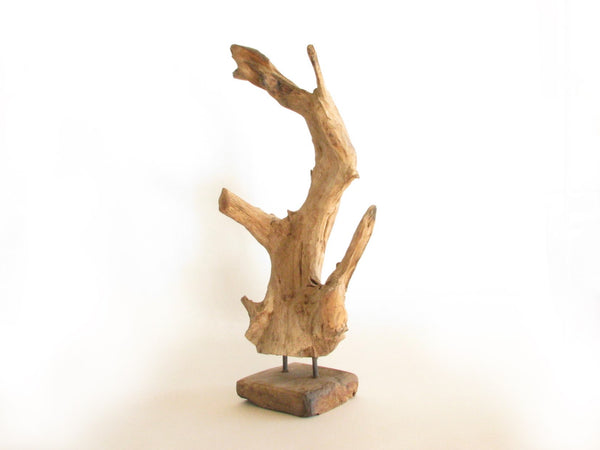 edgebrookhouse - Hand Crafted Teak Driftwood & Double Blown Glass Sculpture or Terrarium C