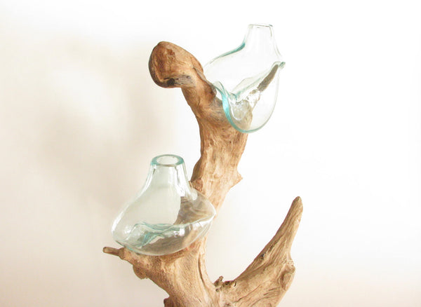 edgebrookhouse - Hand Crafted Teak Driftwood & Double Blown Glass Sculpture or Terrarium C