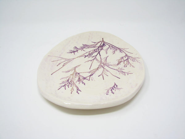 edgebrookhouse - Handcrafted Pottery Decorative Plate or Trinket Dish with Herb Dill Wildflower Design by ViVi