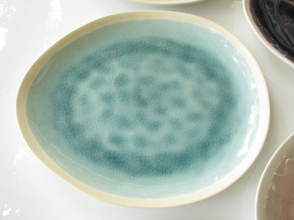 edgebrookhouse - Modern Gaia Organic Shaped Stoneware Plates with Crackle Glaze Mix Match - Set of 7