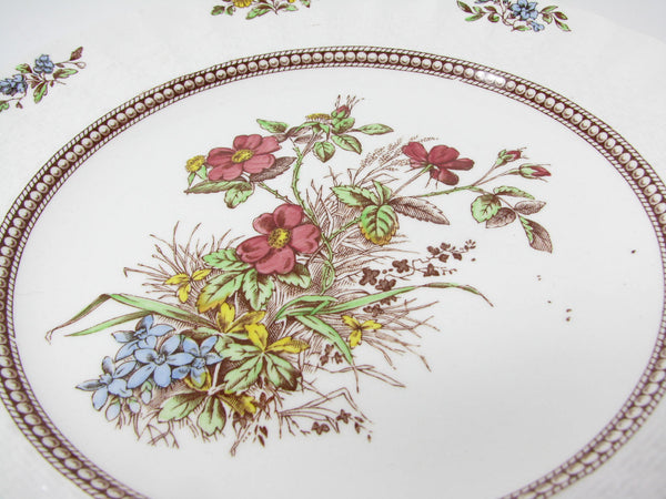 edgebrookhouse - Vintage Copeland Spode Rosalie Scalloped Luncheon or Salad Plates with Floral Center - 8 Pieces