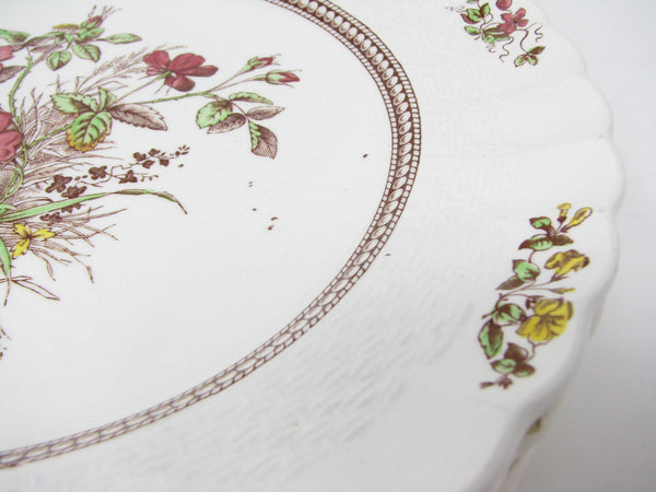 edgebrookhouse - Vintage Copeland Spode Rosalie Scalloped Luncheon or Salad Plates with Floral Center - 8 Pieces