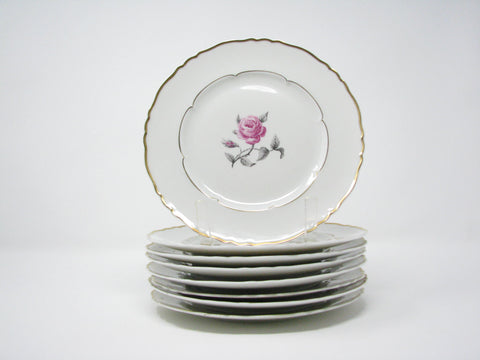 edgebrookhouse - Vintage Haviland France Limoges Bagatelle Dinner Plates - Set of 8