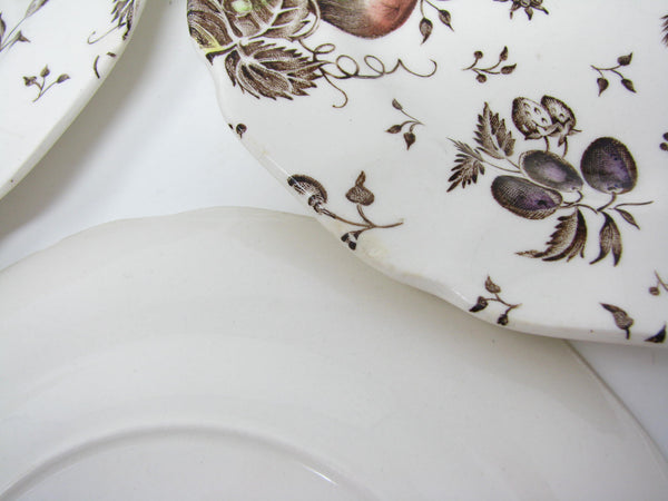 edgebrookhouse - Vintage Johnson Brothers Autumn's Delight Scalloped Bread or Dessert Plates with Fruit - 7 Pieces