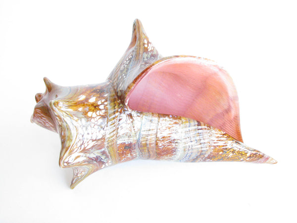 edgebrookhouse - Vintage Large Hand-Blown Glass Conch Shell