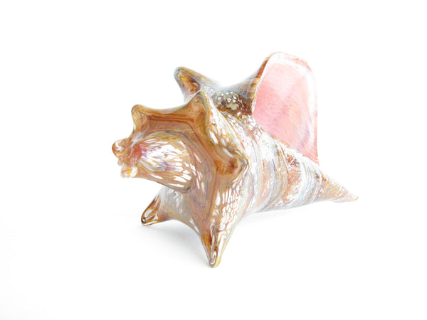 edgebrookhouse - Vintage Large Hand-Blown Glass Conch Shell