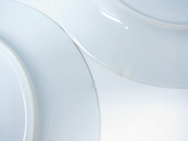 edgebrookhouse - Vintage Mikasa Elite Calibou Dinner Plates with Blue Green Purple Leaves - 8 Pieces