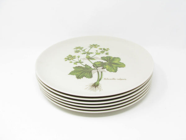 edgebrookhouse - Vintage Rare Pickard China Botanical Dinnerware Set - 54 Pieces