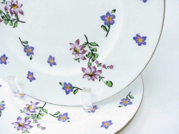 edgebrookhouse - Vintage Royal Victoria England Salad Plates with Violet Floral Design - 3 Pieces