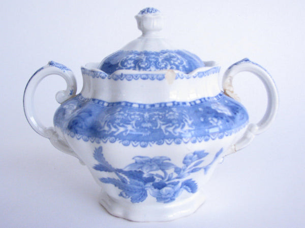 edgebrookhouse - Early 20th Century Spode Camilla Blue and White Sugar Bowl and Lid