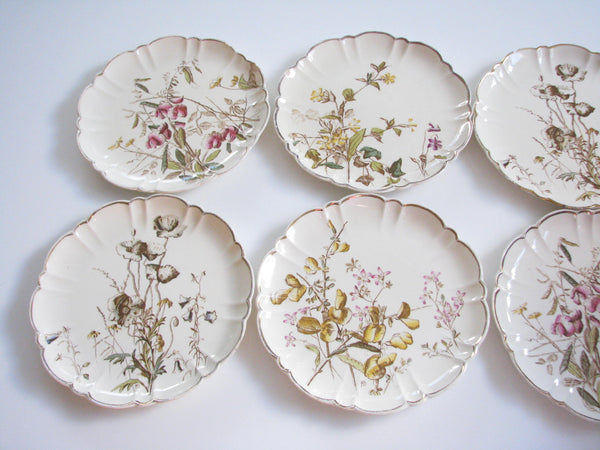 edgebrookhouse - Antique George Jones and Sons Pottery / Ceramic Plates with Hand-Painted Floral Design - Set of 8