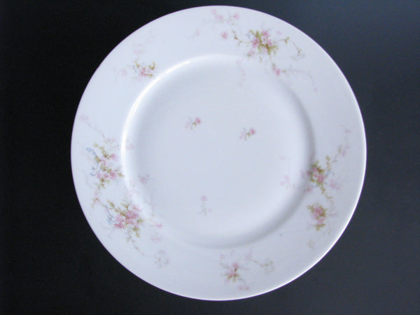 edgebrookhouse - Antique Theodore Haviland Limoges Lucille Hand-Painted Luncheon or Salad Plates - Set of 10