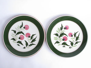 edgebrookhouse - 1950s Stangl Hand-Carved and Hand-Painted Thistle Round Platter / Chop Plate - Set of 2