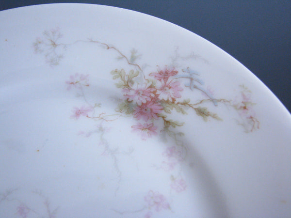 edgebrookhouse - Antique Theodore Haviland Limoges Lucille Hand-Painted Bread Plates - Set of 14
