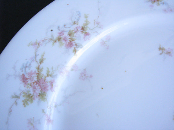 edgebrookhouse - Antique Theodore Haviland Limoges Lucille Hand-Painted Dinner Plates - Set of 10