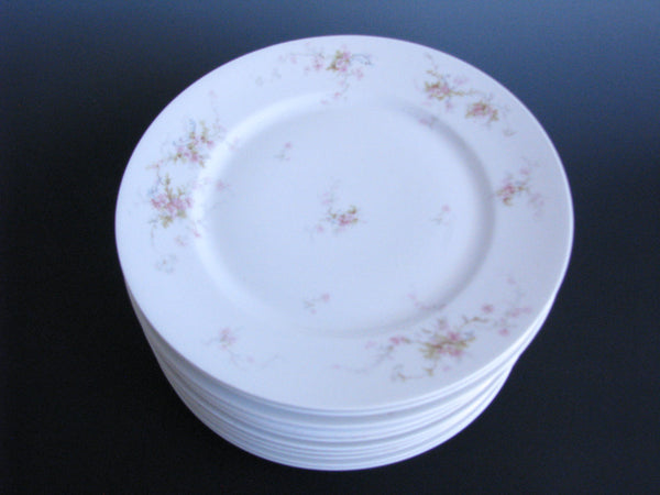 edgebrookhouse - Antique Theodore Haviland Limoges Lucille Hand-Painted Dinner Plates - Set of 10