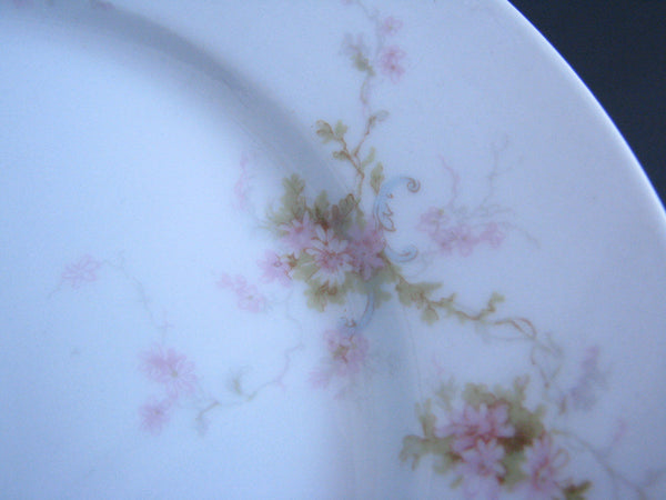 edgebrookhouse - Antique Theodore Haviland Limoges Lucille Hand-Painted Salad Plates - Set of 10