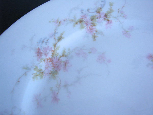 edgebrookhouse - Antique Theodore Haviland Limoges Lucille Hand-Painted Salad Plates - Set of 10